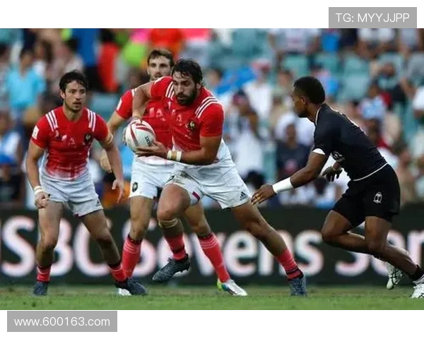 惠灵顿中卫解禁仍伤六人战悉尼